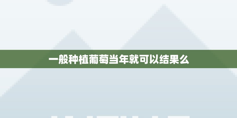 一般种植葡萄当年就可以结果么