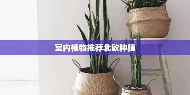 室内植物推荐北欧种植 室内植物推荐北欧种植