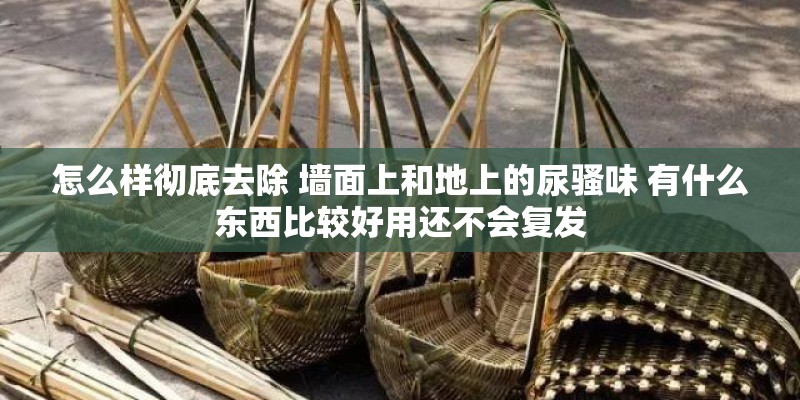 怎么样彻底去除 墙面上和地上的尿骚味 有什么东西比较好用还不会复发