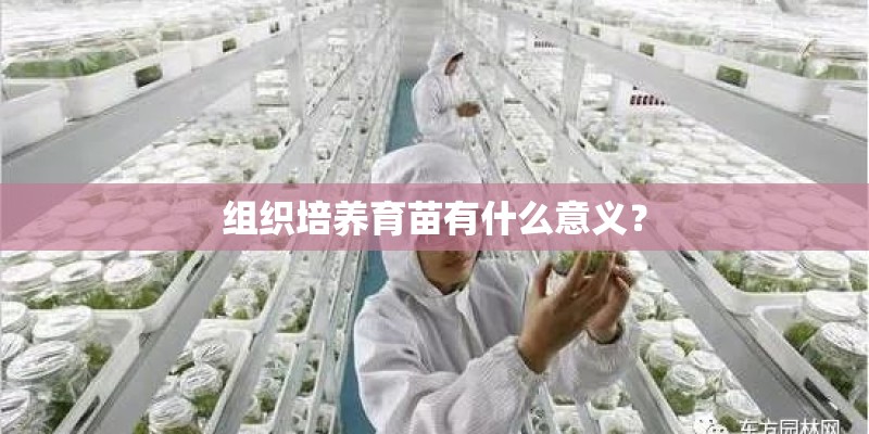 组织培养育苗有什么意义? 组织培养育苗有什么意义?