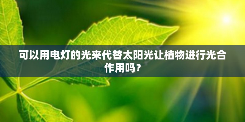 可以用电灯的光来代替太阳光让植物进行光合作用吗？