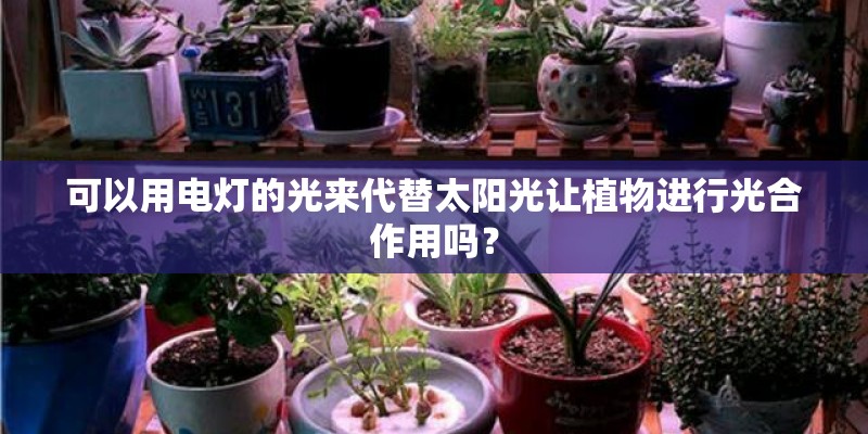 可以用电灯的光来代替太阳光让植物进行光合作用吗? 可以用电灯的光来代替太阳光让植物进行光合作用吗?