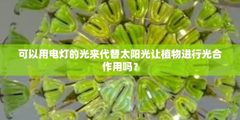 可以用电灯的光来代替太阳光让植物进行光合作用吗? 可以用电灯的光来代替太阳光让植物进行光合作用吗?