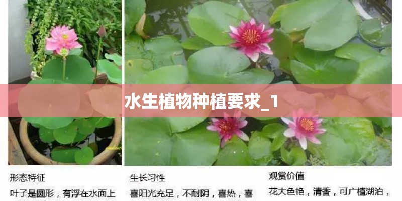 水生植物种植要求_1