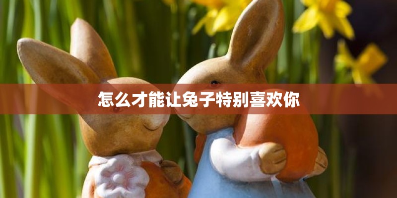 怎么才能让兔子特别喜欢你 怎么才能让兔子特别喜欢你