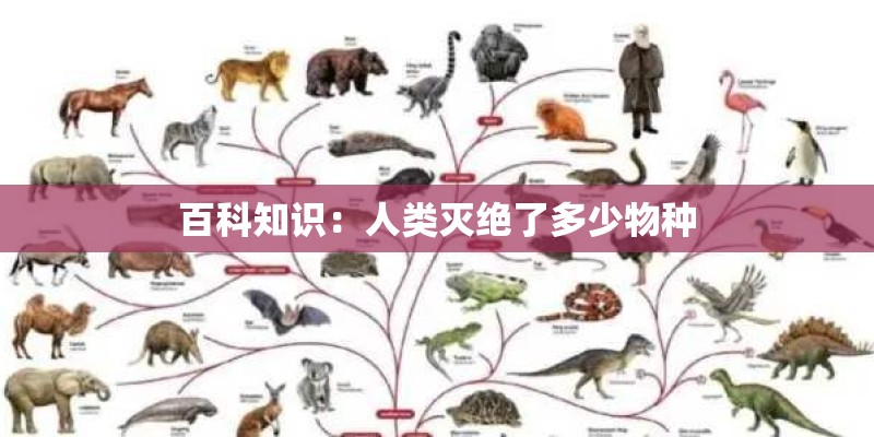 百科知识:人类灭绝了多少物种 百科知识:人类灭绝了多少物种