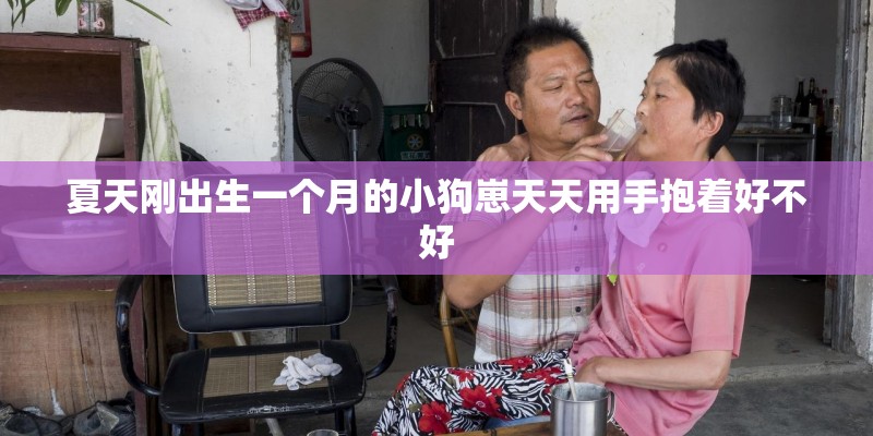 夏天刚出生一个月的小狗崽天天用手抱着好不好