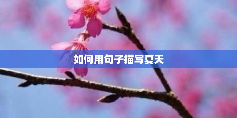 如何用句子描写夏天 如何用句子描写夏天