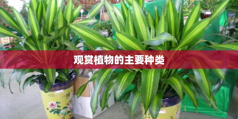 观赏植物的主要种类 观赏植物的主要种类