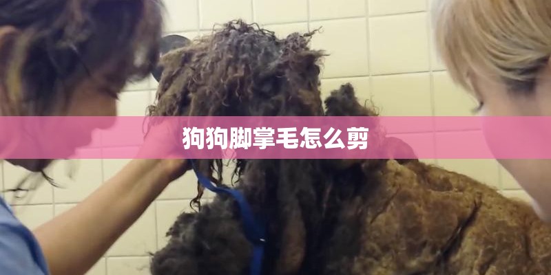 狗狗脚掌毛怎么剪