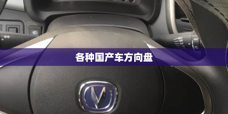 各种国产车方向盘 各种国产车方向盘
