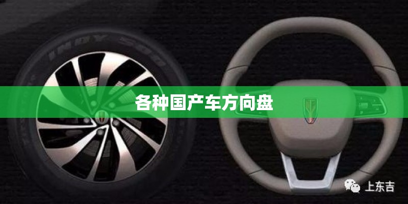 各种国产车方向盘 各种国产车方向盘
