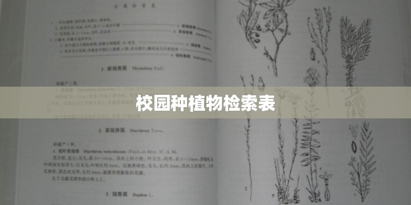 校园种植物检索表