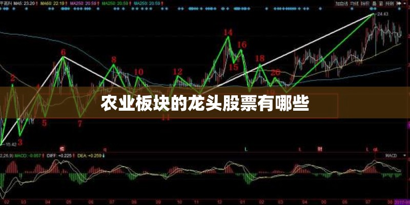 农业板块的龙头股票有哪些 农业板块的龙头股票有哪些