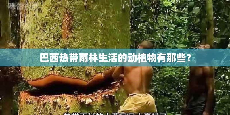 巴西热带雨林生活的动植物有那些? 巴西热带雨林生活的动植物有那些?