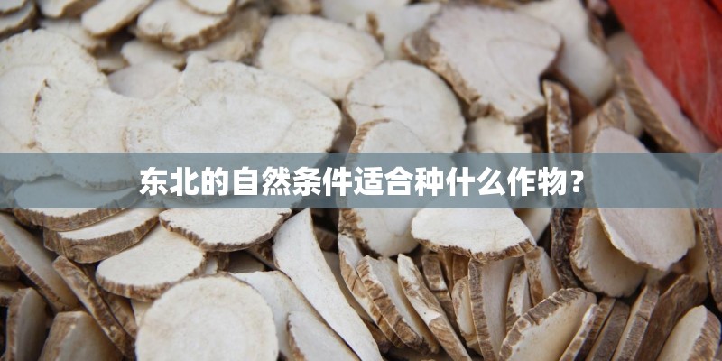 东北的自然条件适合种什么作物？