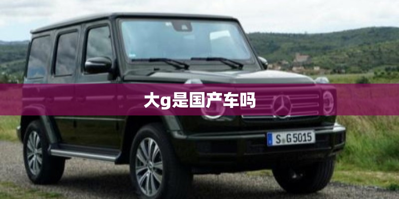 大g是国产车吗
