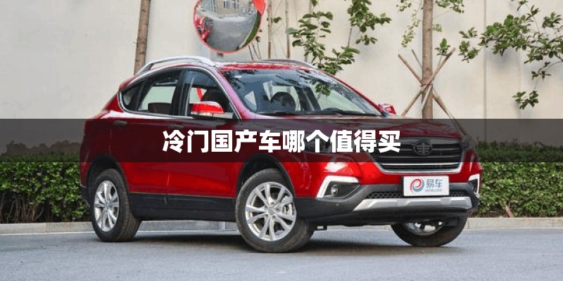 冷门国产车哪个值得买