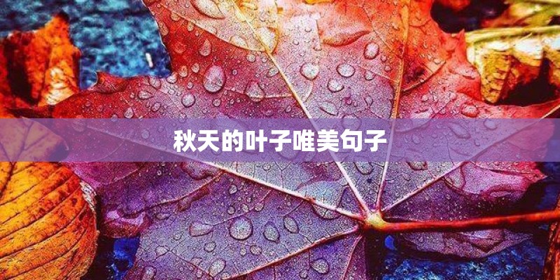 秋天的叶子唯美句子 秋天的叶子唯美句子