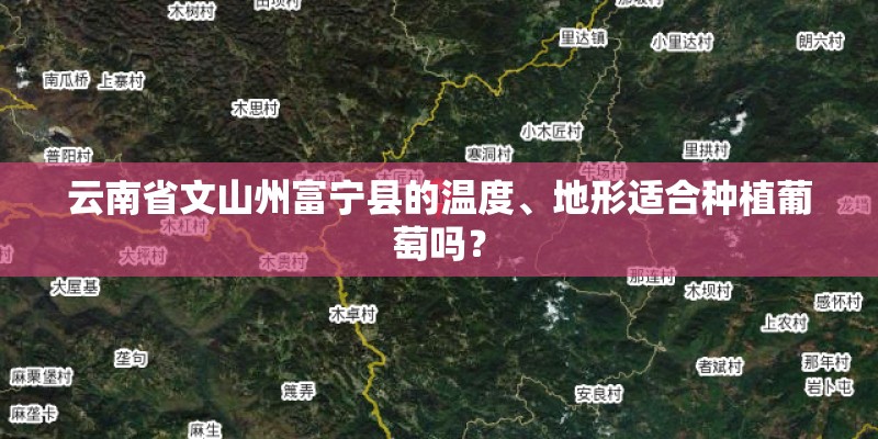 云南省文山州富宁县的温度、地形适合种植葡萄吗? 云南省文山州富宁县的温度、地形适合种植葡萄吗?