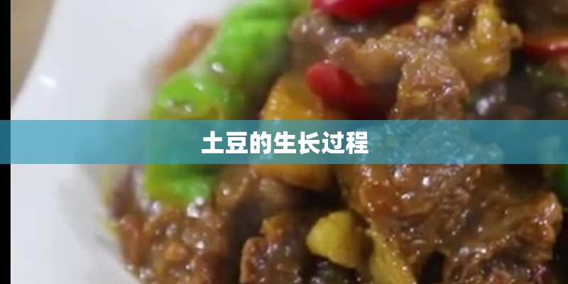 土豆的生长过程 土豆的生长过程