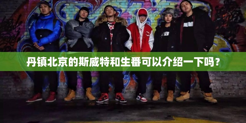 丹镇北京的斯威特和生番可以介绍一下吗? 丹镇北京的斯威特和生番可以介绍一下吗?