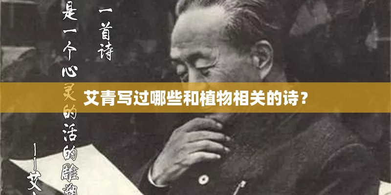 艾青写过哪些和植物相关的诗？