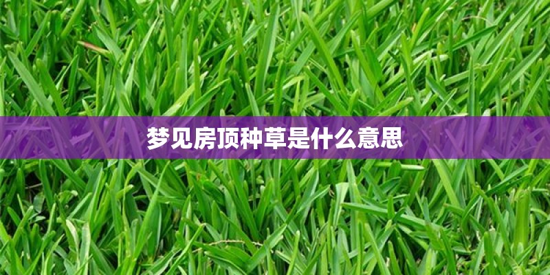 梦见房顶种草是什么意思