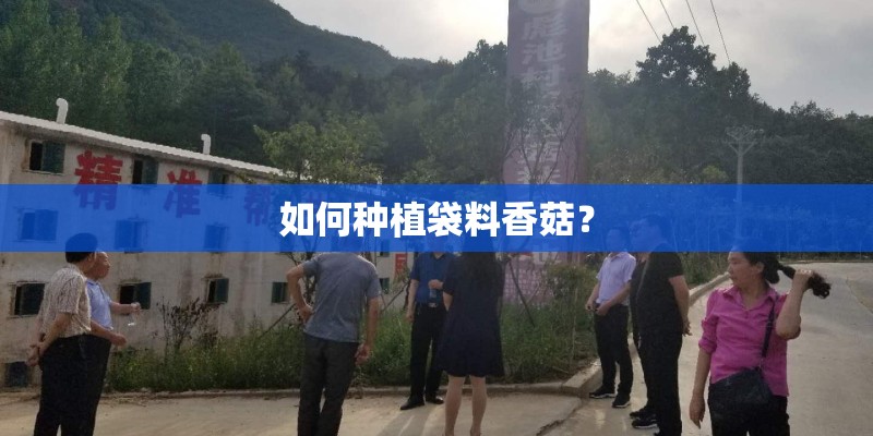 如何种植袋料香菇? 如何种植袋料香菇?