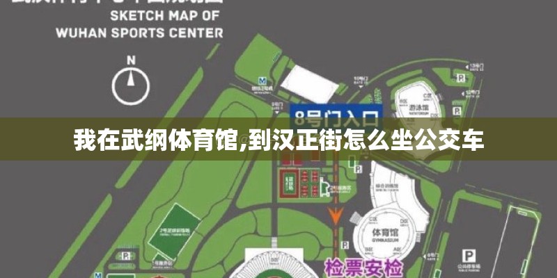 我在武纲体育馆,到汉正街怎么坐公交车