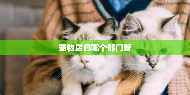 宠物店归哪个部门管 宠物店归哪个部门管