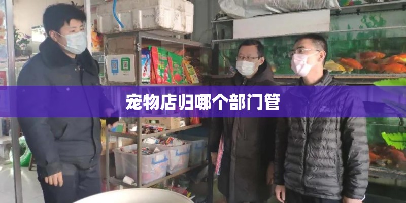 宠物店归哪个部门管