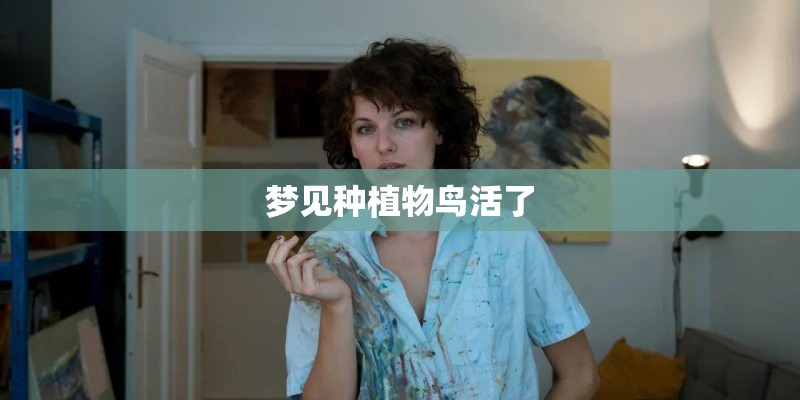 梦见种植物鸟活了 梦见种植物鸟活了