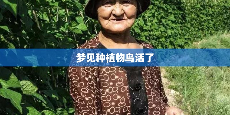梦见种植物鸟活了 梦见种植物鸟活了