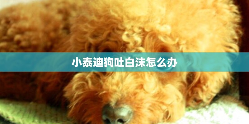 为了2500元起诉值得吗 为了2500元起诉值得吗