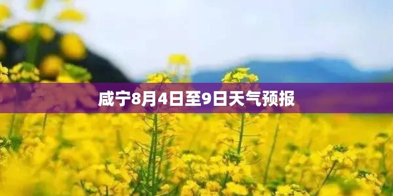 关于菜的标语