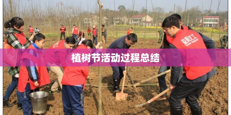 植树节活动过程总结