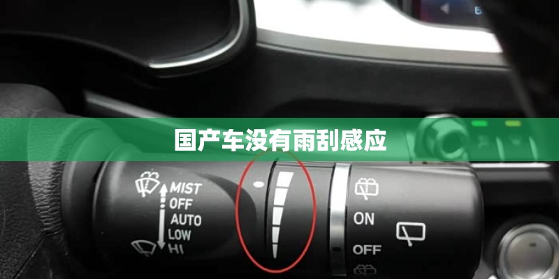 国产车没有雨刮感应