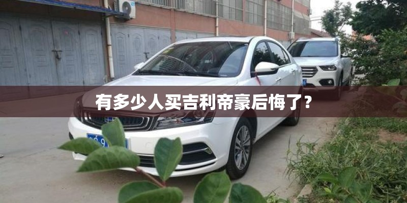有多少人买吉利帝豪后悔了? 有多少人买吉利帝豪后悔了?