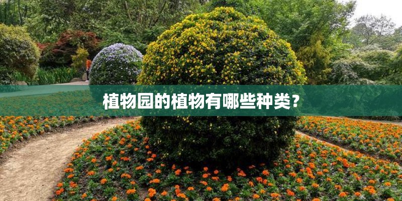 植物园的植物有哪些种类? 植物园的植物有哪些种类?