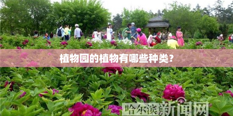 植物园的植物有哪些种类? 植物园的植物有哪些种类?