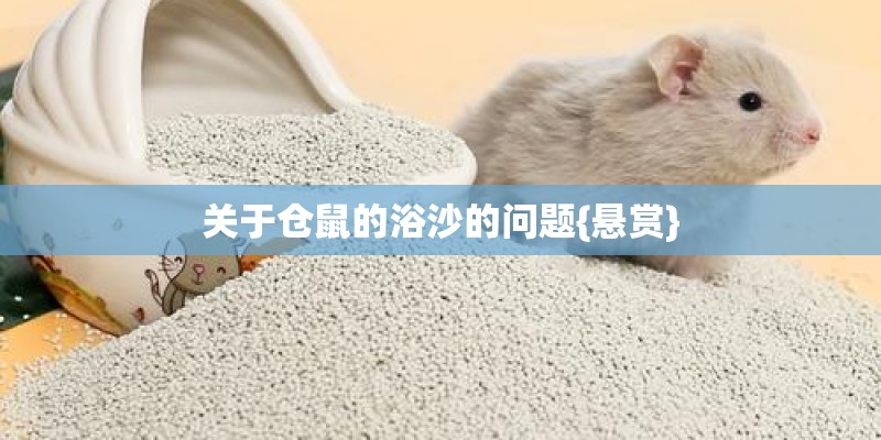 关于仓鼠的浴沙的问题{悬赏} 关于仓鼠的浴沙的问题{悬赏}