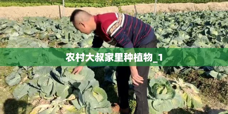 农村大叔家里种植物_1 农村大叔家里种植物_1