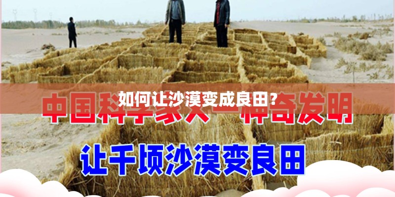 如何让沙漠变成良田? 如何让沙漠变成良田?