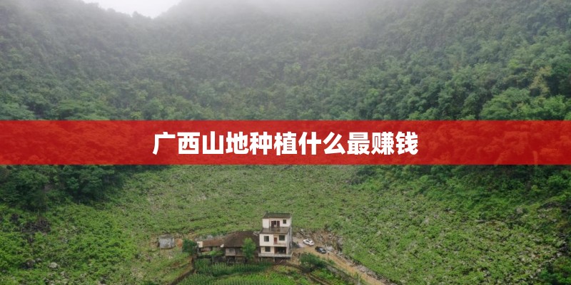广西山地种植什么最赚钱 广西山地种植什么最赚钱