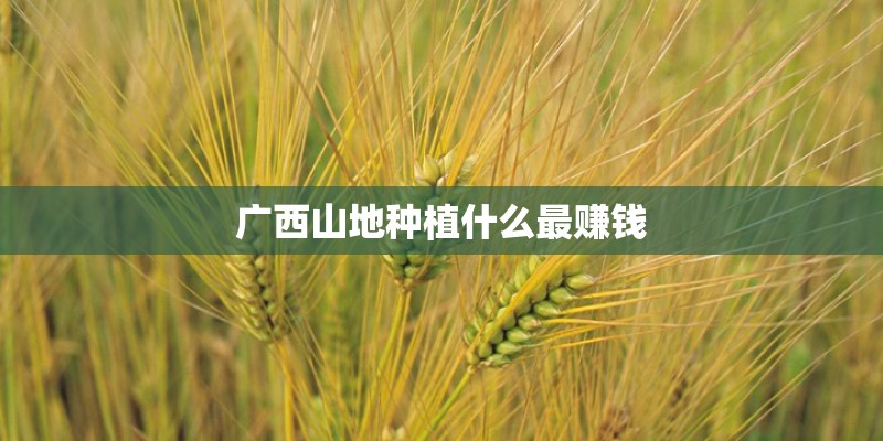 广西山地种植什么最赚钱 广西山地种植什么最赚钱
