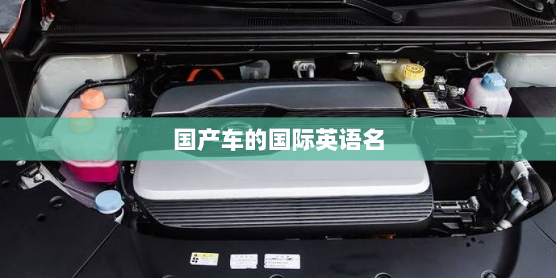 国产车的国际英语名 国产车的国际英语名