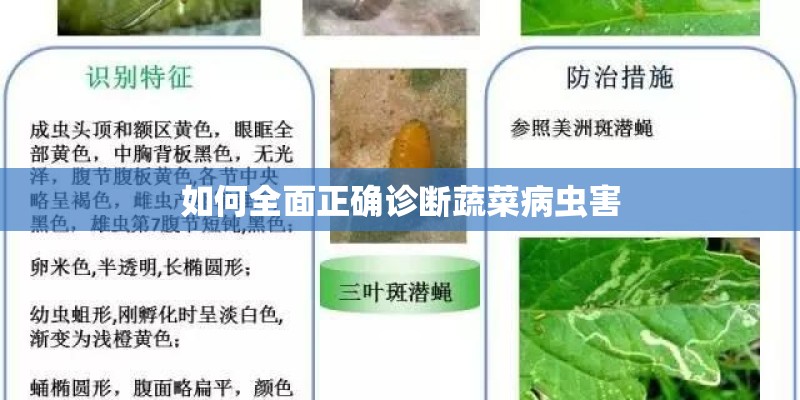 如何全面正确诊断蔬菜病虫害 如何全面正确诊断蔬菜病虫害