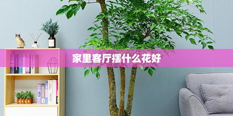家里客厅摆什么花好