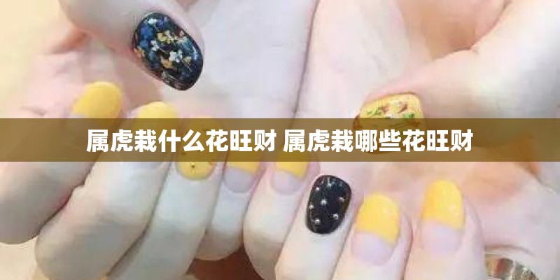 属虎栽什么花旺财 属虎栽哪些花旺财